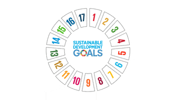 Sustainable Development Goals (SDG's)